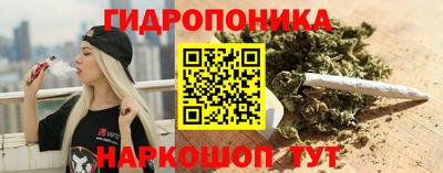 ГАЛЛЮЦИНОГЕННЫЕ ГРИБЫ Кандалакша