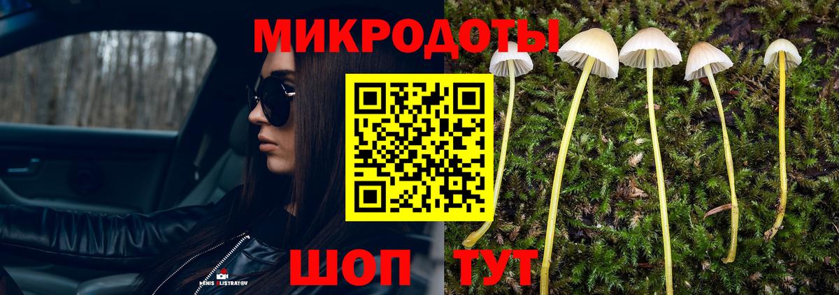 Псилоцибиновые грибы Psilocybine cubensis Вичуга