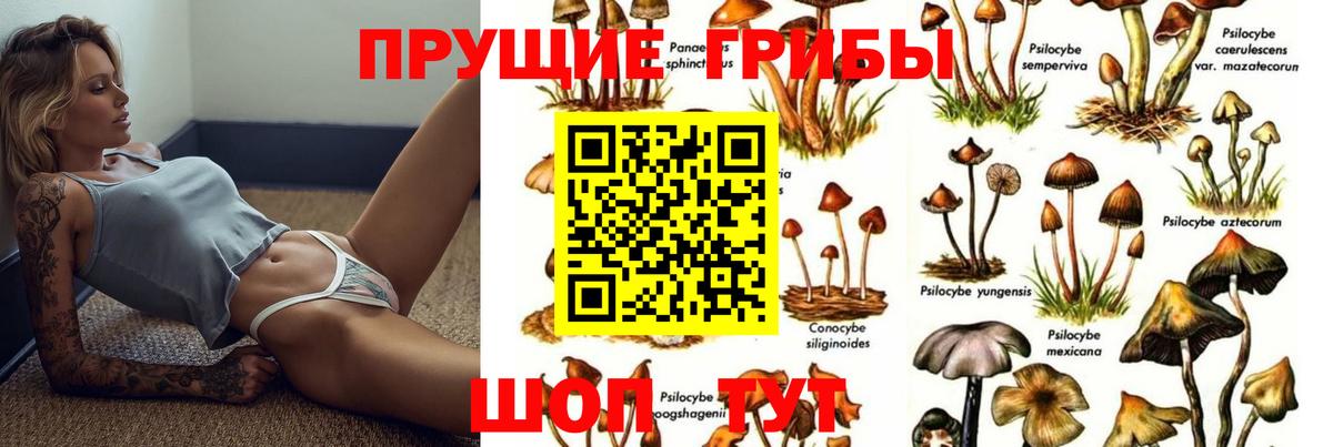 Галлюциногенные грибы мухоморы  Вход с VPN  Вичуга 